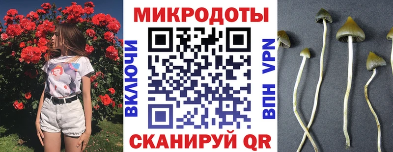Псилоцибиновые грибы Magic Shrooms  Купить  Высоковск 