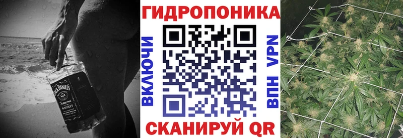 Купить где  Высоковск  Конопля ГИДРОПОН 